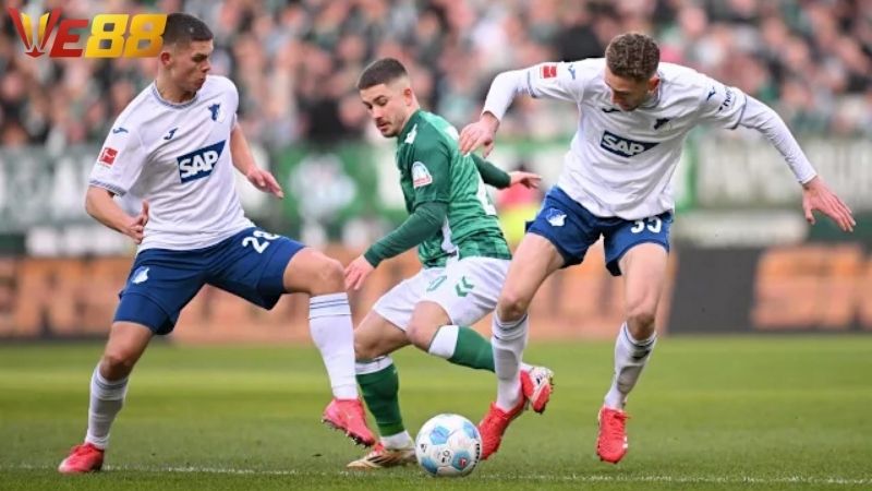 Lịch sử đối đầu Werder Bremen vs Hoffenheim